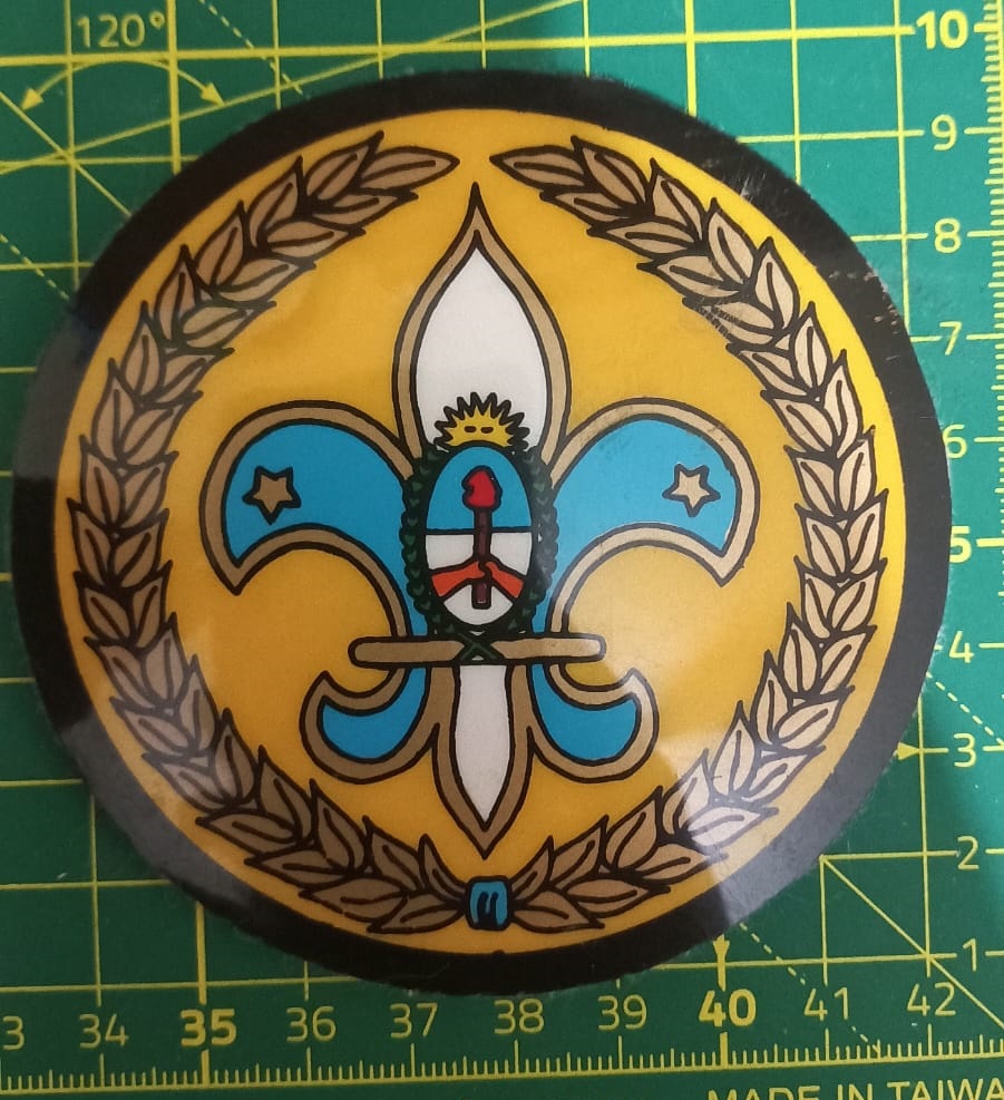 Insignia de Máxima Eficiencia - Guía/Scout de la Patria