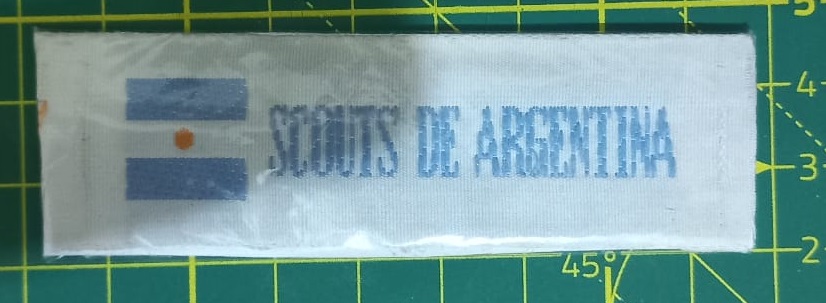 Scouts de Argentina