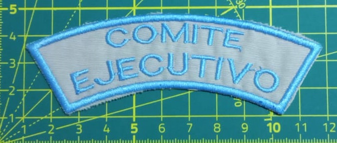Comité Ejecutivo