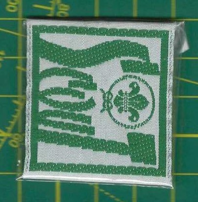 Unidad Scout