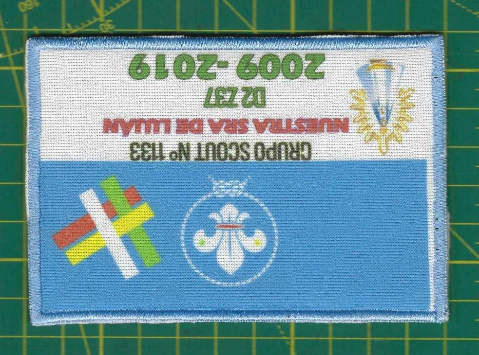Grupo Scout N° 1133 - 2009 - 2019