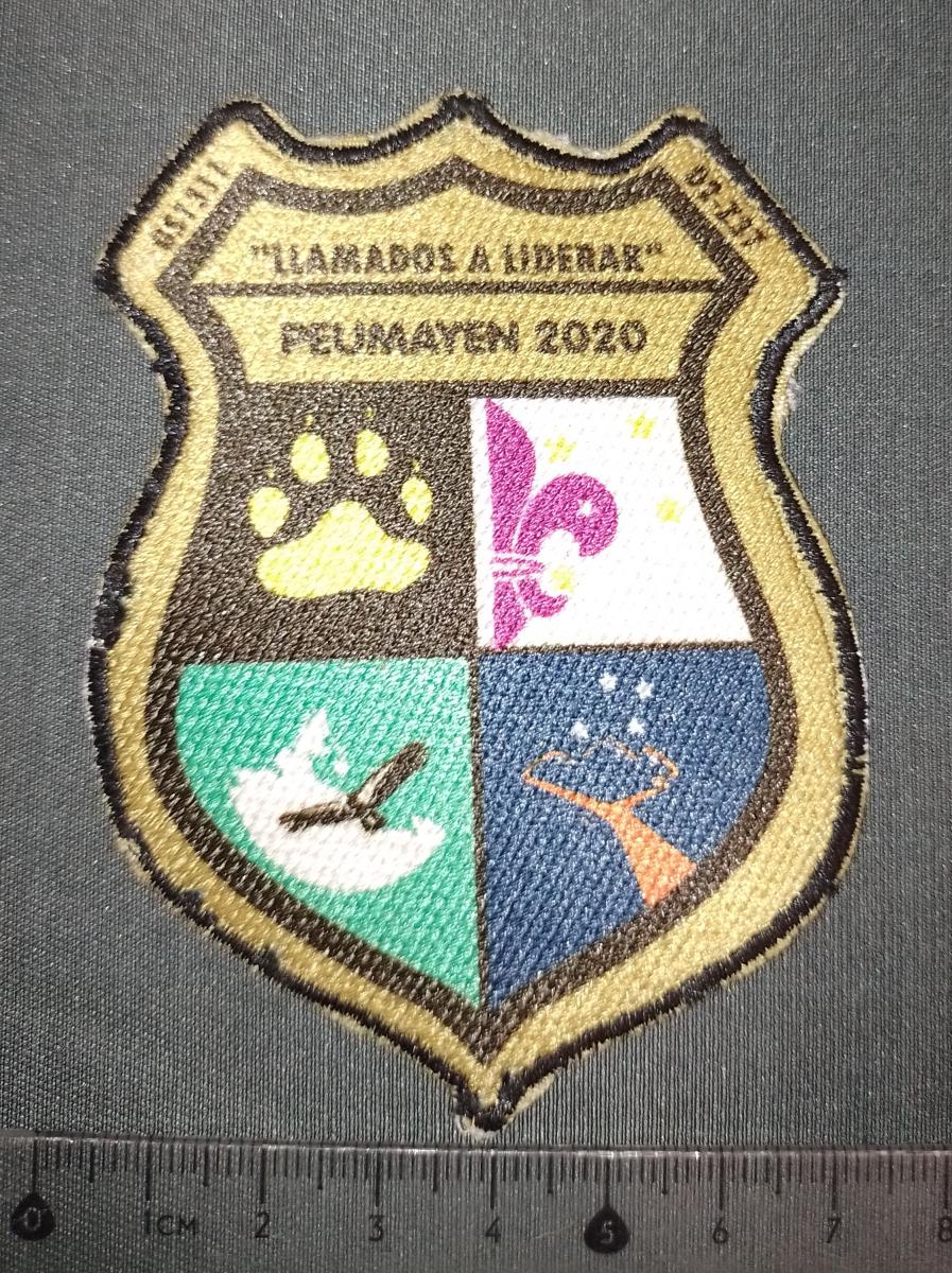 Gs 1311 - D2 Z37 "Llamados a liderar" Peumayen 2020