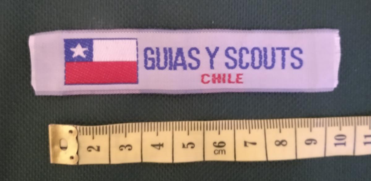 Guías y Scouts de Chile