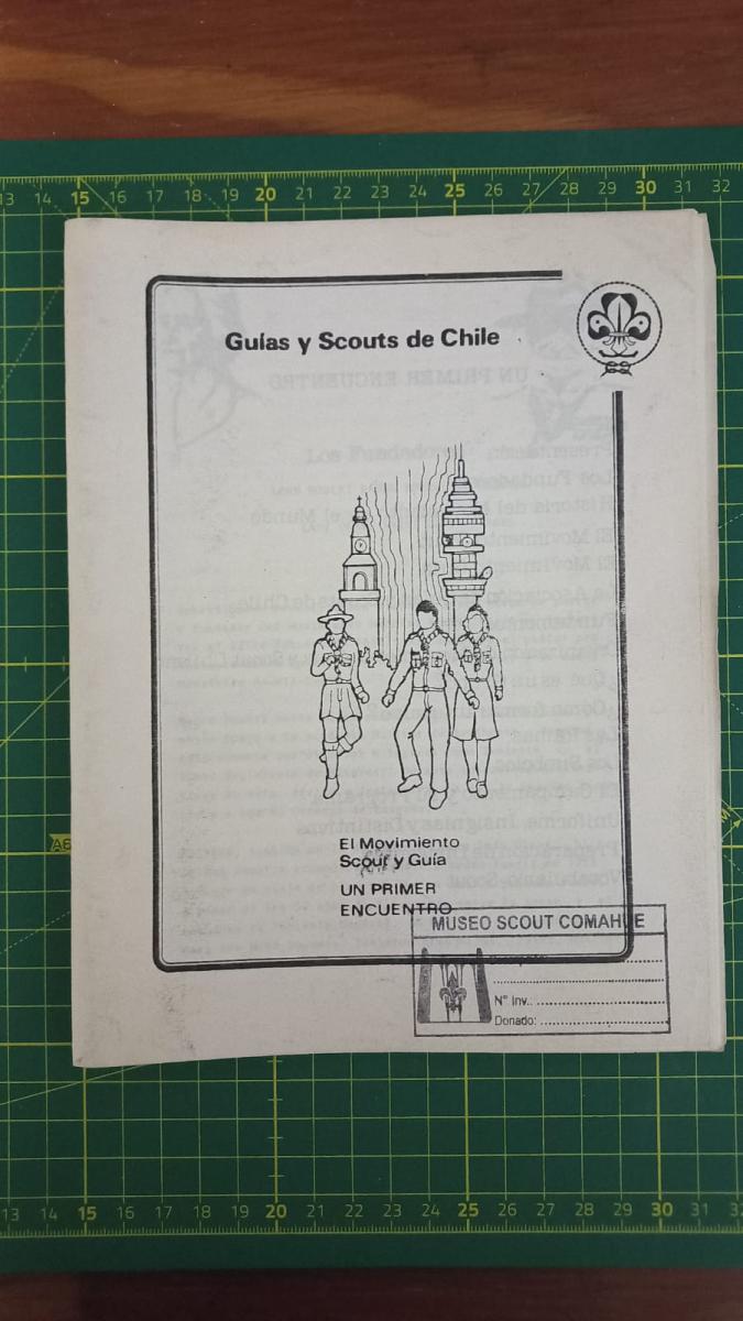 Guías y Scouts de Chile